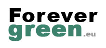 Forevergreen Algues