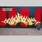 blackbook blackbook