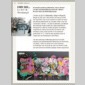 guide du street art  paris 2017