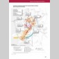 Étudiants et universités : acteurs de la ville Étudiants et universités : acteurs de la ville